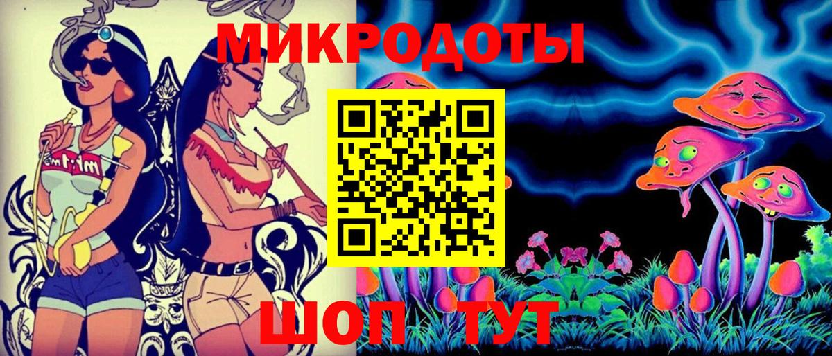 Галлюциногенные грибы Psilocybine cubensis Лениногорск