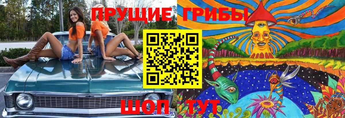 как найти закладки  Галлюциногенные грибы мухоморы  Вход с VPN  Лениногорск 